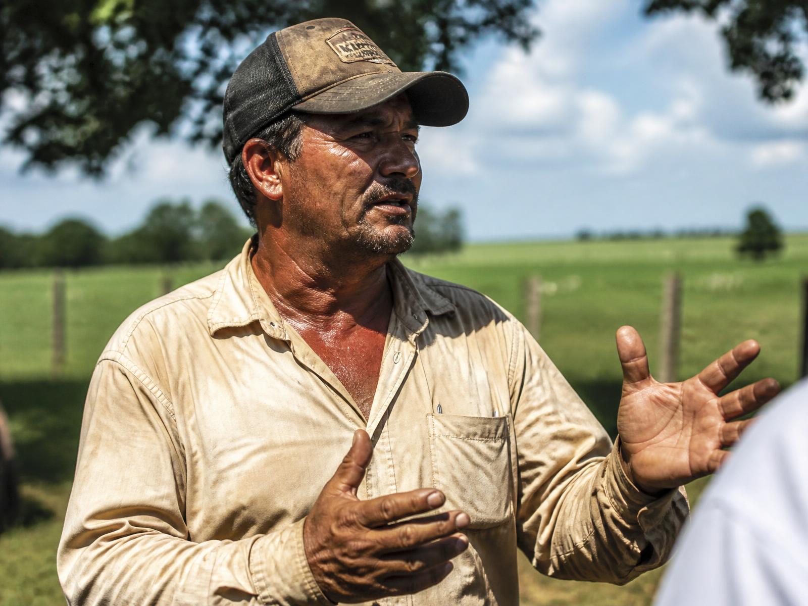 Produtor rural no campo ao entardecer
